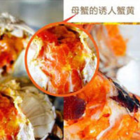 阳澄湖母蟹
